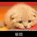 u=411602659,3761813505&amp;fm=21&amp;gp=0.jpg