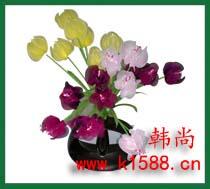 u=415120453,3868756159&amp;fm=21&amp;gp=0.jpg