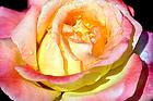 u=268389456,614367688&amp;fm=21&amp;gp=0.jpg
