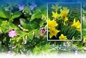 u=273685021,159725047&amp;fm=21&amp;gp=0.jpg