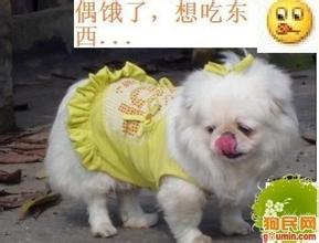 u=303314679,2949260057&amp;fm=21&amp;gp=0.jpg