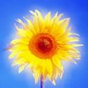 u=642555961,2553908358&amp;fm=21&amp;gp=0.jpg
