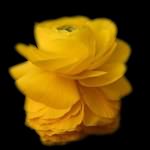 u=684065306,1207938774&amp;fm=11&amp;gp=0.jpg