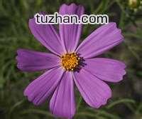 u=3107765816,3441133633&amp;fm=21&amp;gp=0.jpg