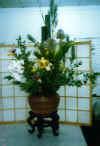 u=3318158826,246093784&amp;fm=21&amp;gp=0.jpg