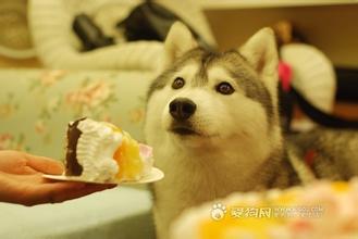 u=3338084278,372831761&amp;fm=21&amp;gp=0.jpg
