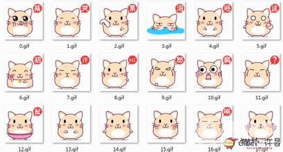 u=3623645011,1674576952&amp;fm=21&amp;gp=0.jpg