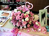 u=3726718050,1644769581&amp;fm=21&amp;gp=0.jpg