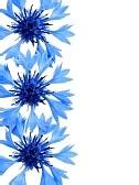 u=3793270734,1995880722&amp;fm=21&amp;gp=0.jpg