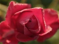 u=3859592627,2245445797&amp;fm=21&amp;gp=0.jpg