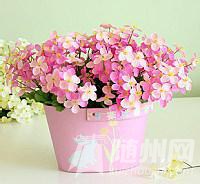 u=3059066738,729707944&amp;fm=21&amp;gp=0.jpg