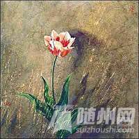 u=3374226200,3571163807&amp;fm=21&amp;gp=0.jpg