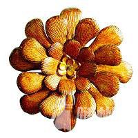 u=3592021846,1661295015&amp;fm=21&amp;gp=0.jpg