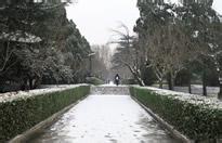 u=115522807,1375391136&amp;fm=21&amp;gp=0.jpg