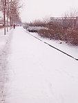 u=171686511,3256858643&amp;fm=21&amp;gp=0.jpg