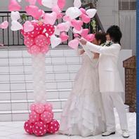 u=250632850,622063976&amp;fm=21&amp;gp=0.jpg