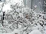 u=1646819924,1014964881&amp;fm=21&amp;gp=0.jpg