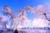 u=1658306606,1298849350&amp;fm=21&amp;gp=0.jpg