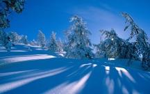 u=1702021178,3033684661&amp;fm=21&amp;gp=0.jpg