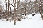u=1839071749,219178811&amp;fm=21&amp;gp=0.jpg