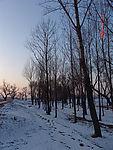 u=2083083987,1632676408&amp;fm=21&amp;gp=0.jpg