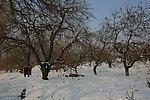 u=2158950600,65482790&amp;fm=21&amp;gp=0.jpg