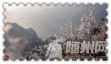 u=2160313808,942312711&amp;fm=21&amp;gp=0.jpg