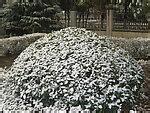 u=2190237677,3389029201&amp;fm=21&amp;gp=0.jpg