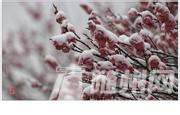 u=2465279045,1991280158&amp;fm=21&amp;gp=0.jpg