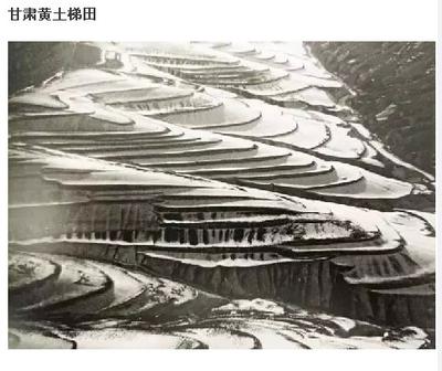 һ1933ĺ