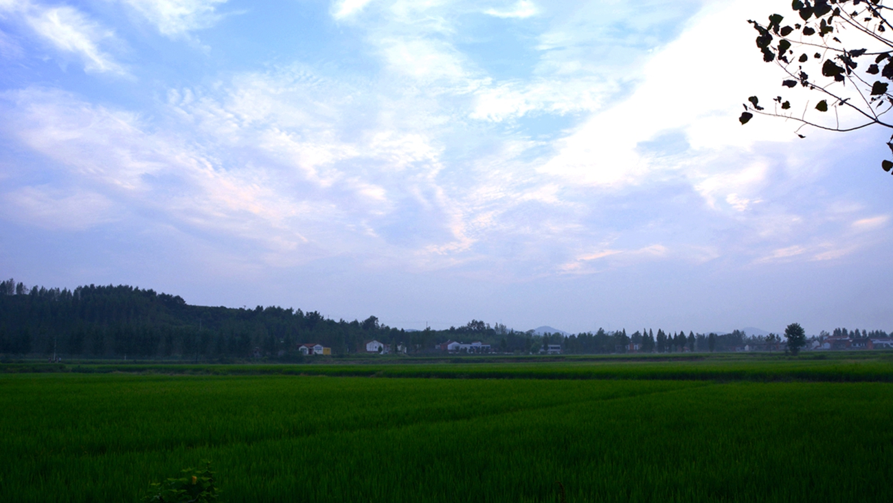 DSC_2159_.jpg