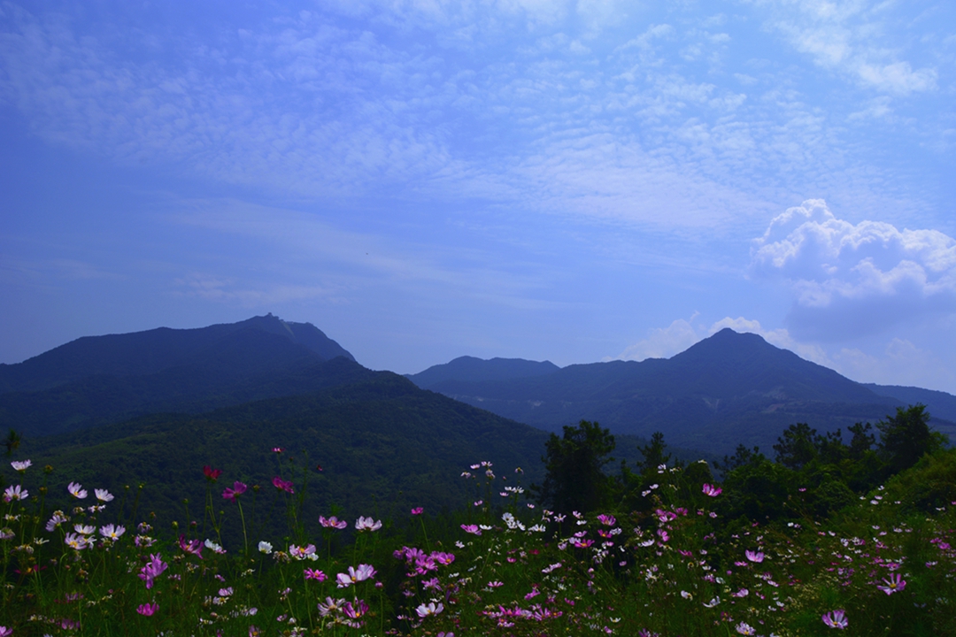 DSC_2305.JPG