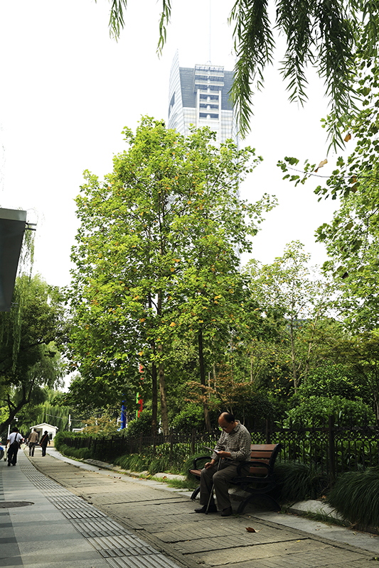 4B1A3612.jpg