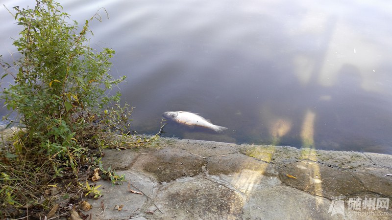 IMG_20151010_150714_.jpg