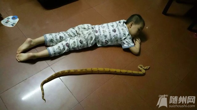 file.jpg