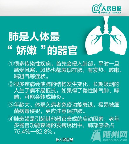 秋季养肺经