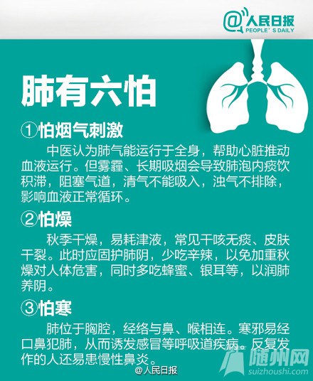 秋季养肺经