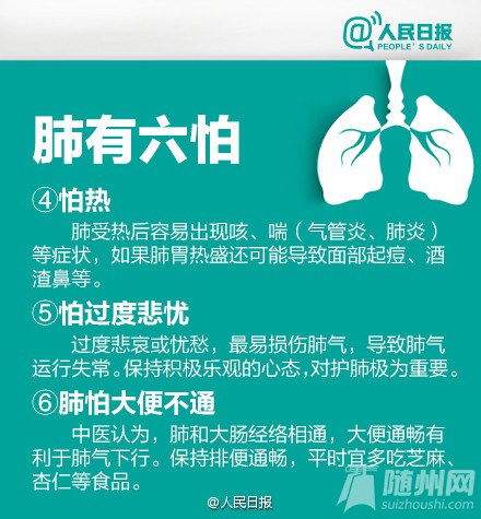 秋季养肺经