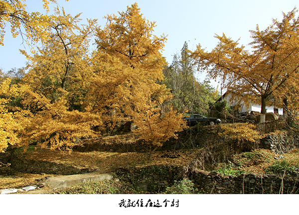 IMG_9402f.jpg