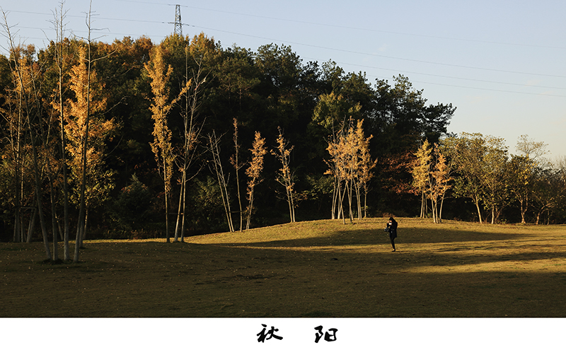 4B1A0886.jpg