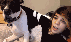 6.gif