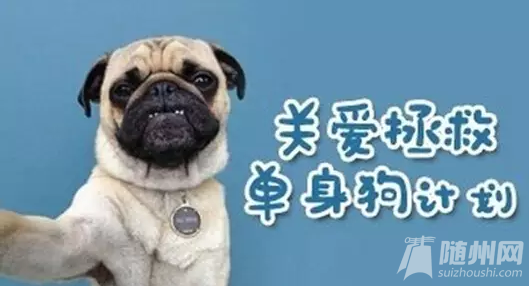 QQͼ20151109191003.png