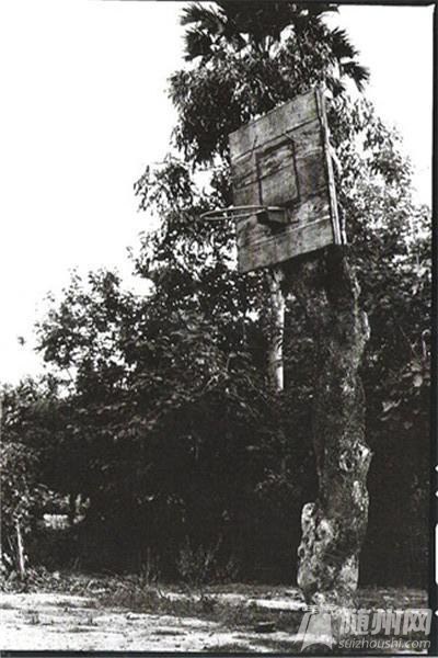 212333285  P30.jpg