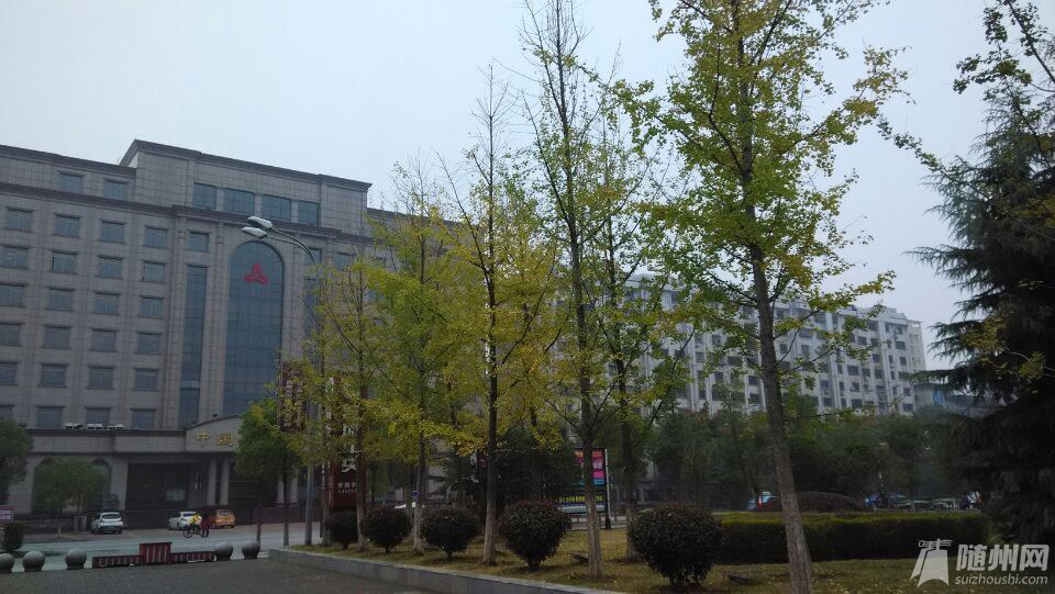 02.jpg