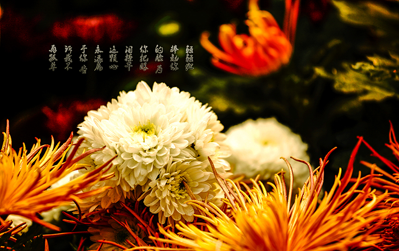 4B1A3892.jpg