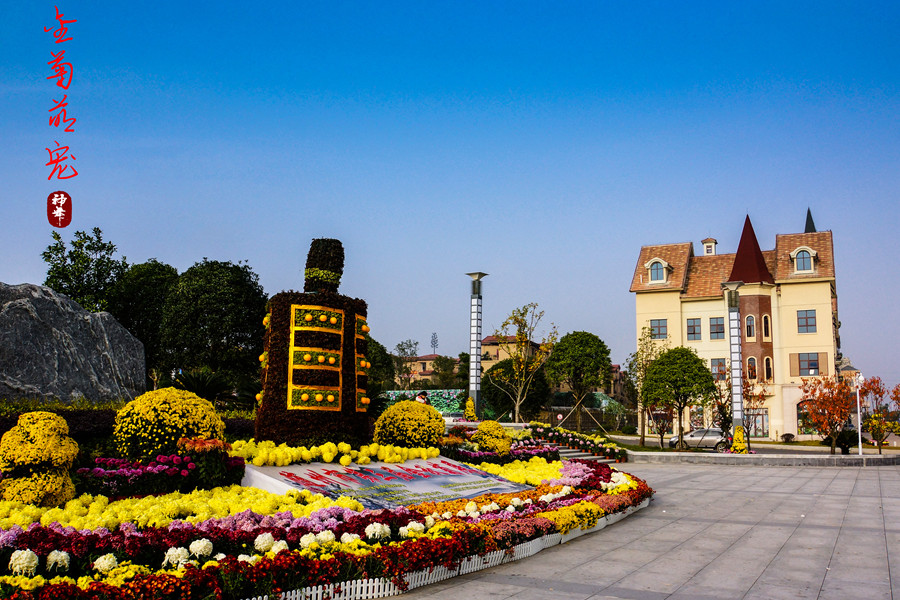 DSC02906__.jpg