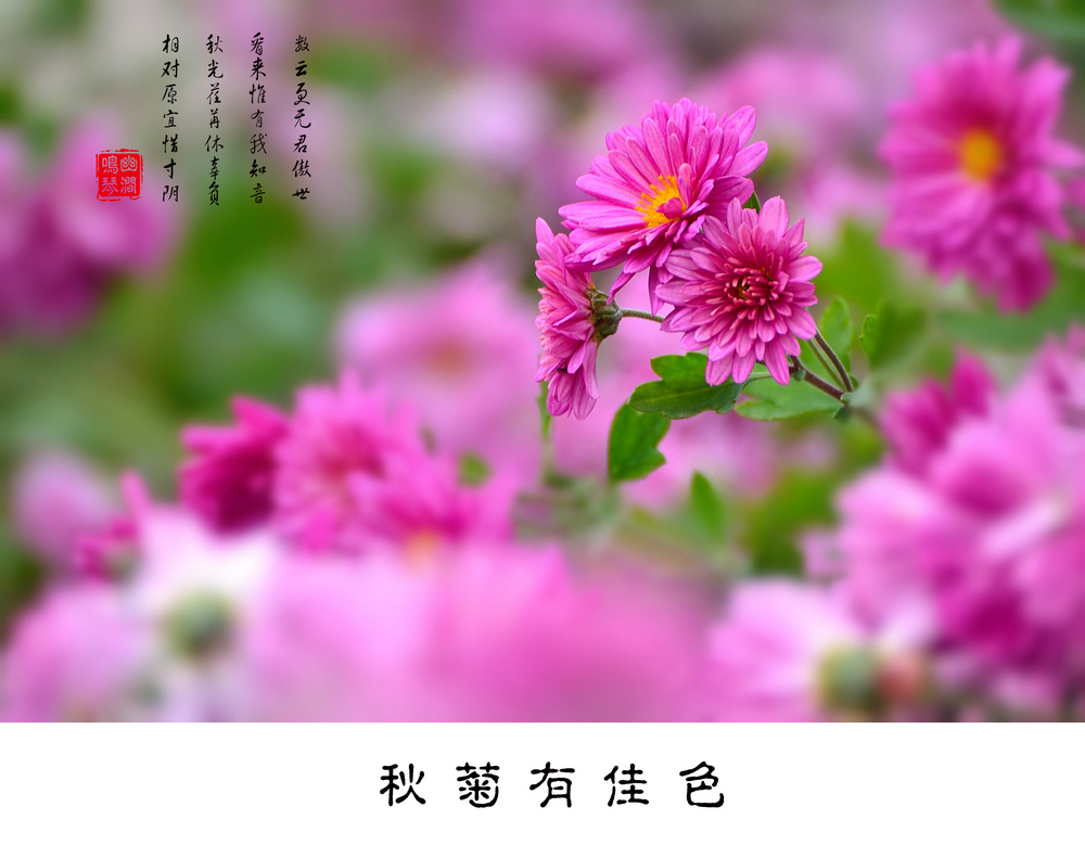 80DSC_9679_.jpg