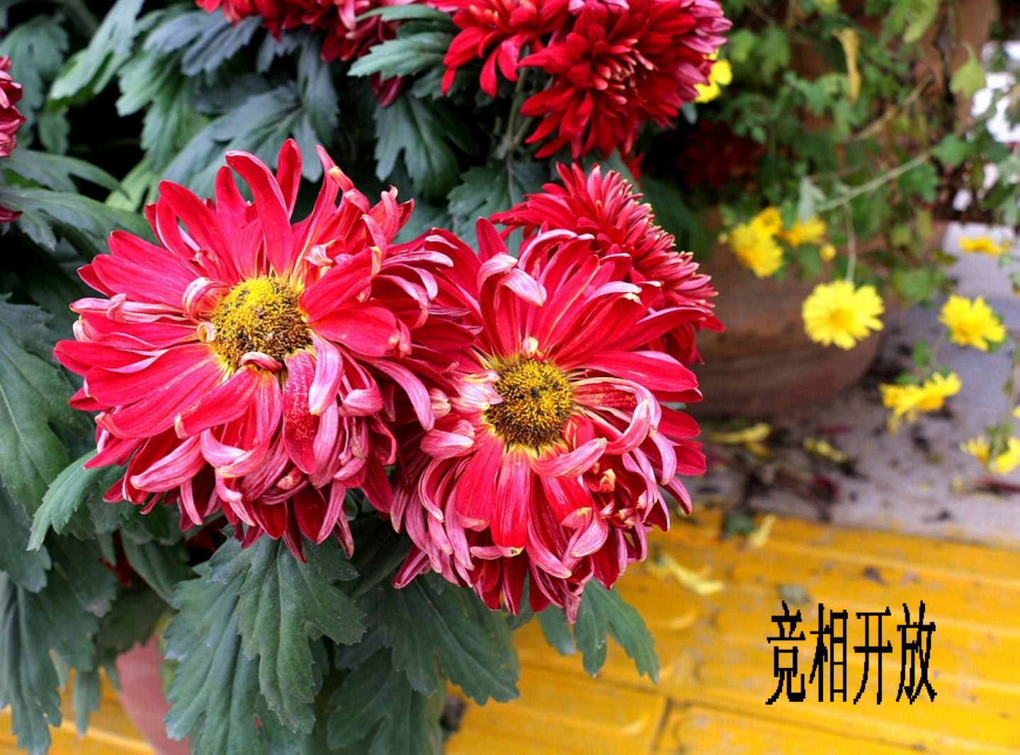 Ƭ 009.jpg