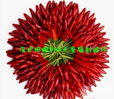 ĵ壬سԵ9ַʳƷ