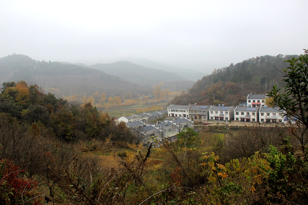 Ƭ 040.jpg